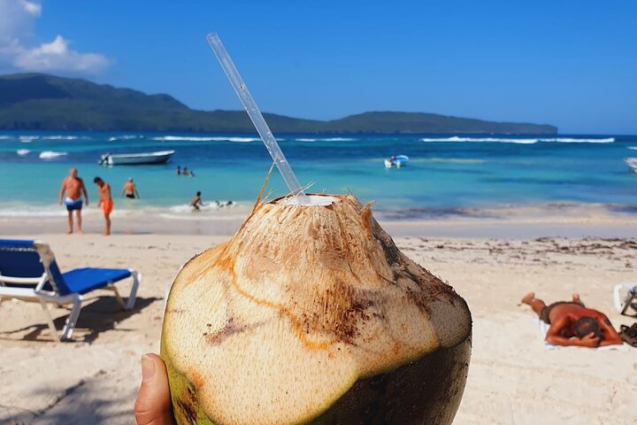 Fresh coconut under the palm trees 